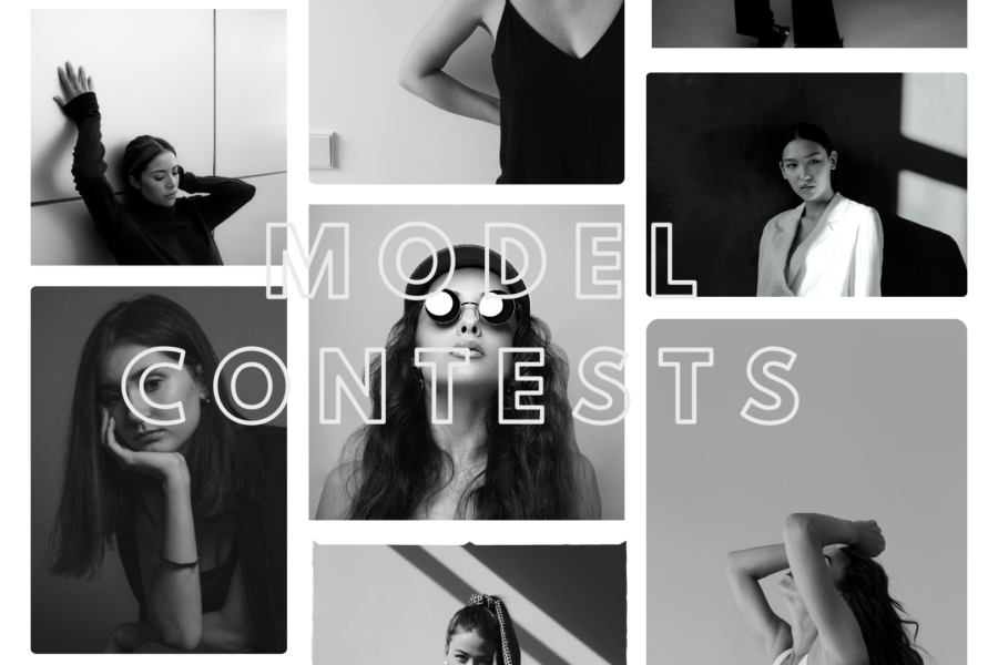 Modelcontests