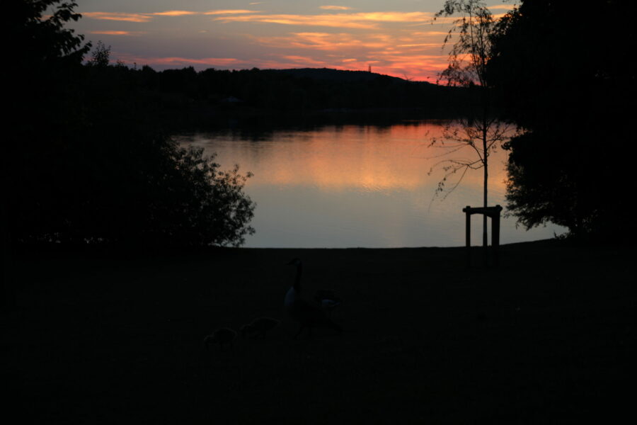 Sonnenuntergang Uettelsheimer See Duisburg FOTHO.DE 1706010262